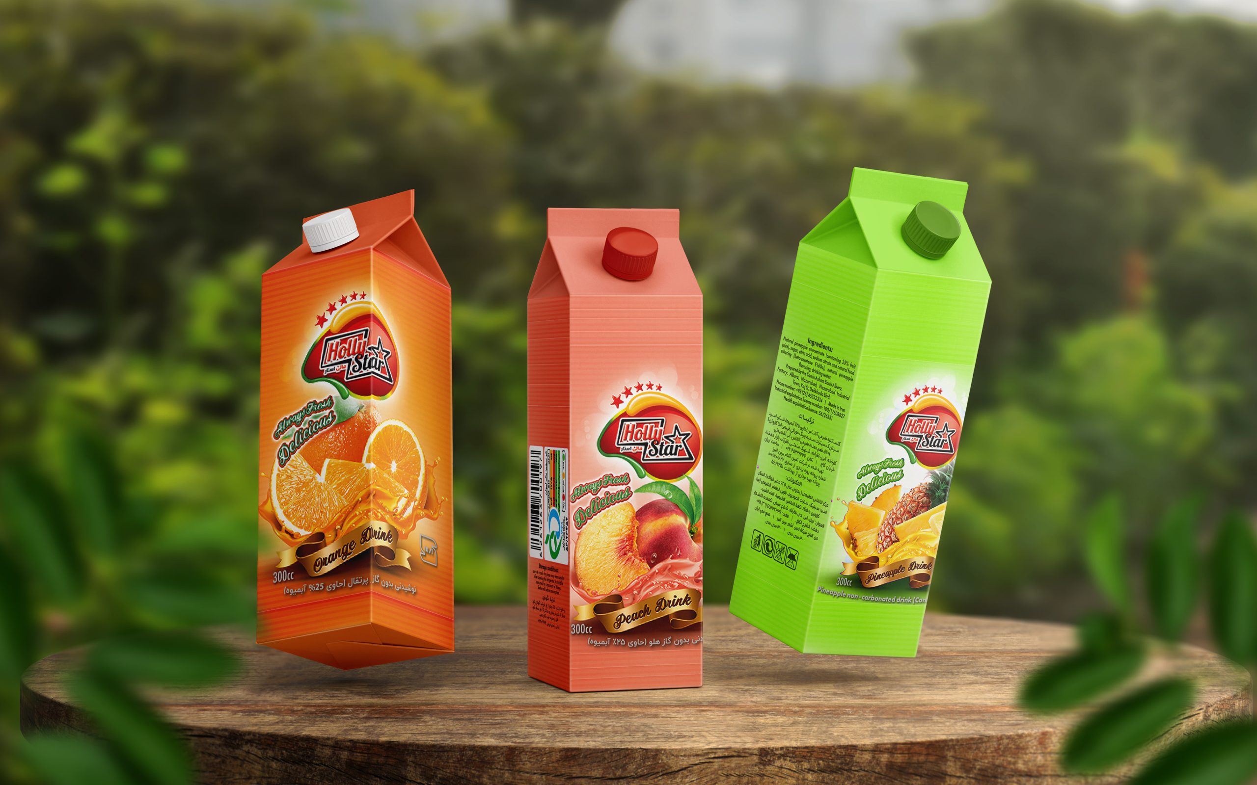 هالی استار- بروشور بسته بندی آبمیوه - نسترن امیدی فر