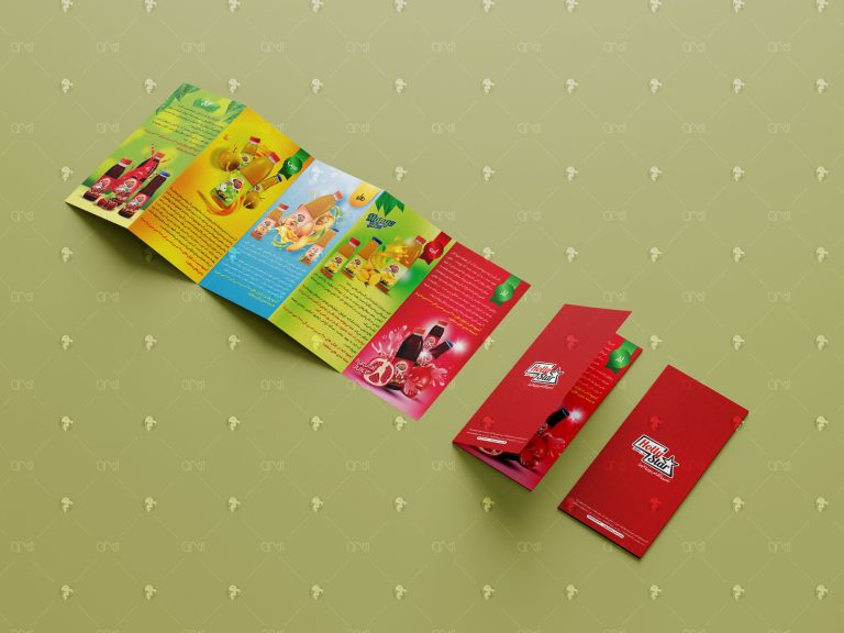 هالی استار- بروشور بسته بندی آبمیوه - نسترن امیدی فر