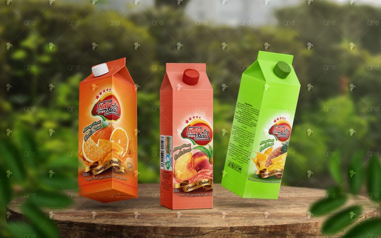 هالی استار- بروشور بسته بندی آبمیوه - نسترن امیدی فر