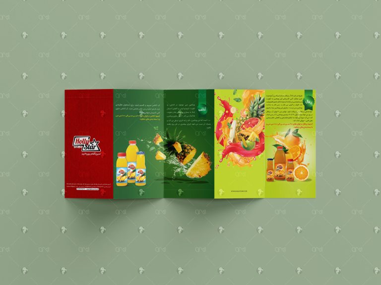 هالی استار- بروشور بسته بندی آبمیوه - نسترن امیدی فر